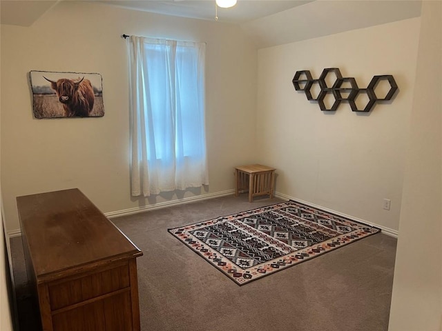 interior space with lofted ceiling and carpet floors