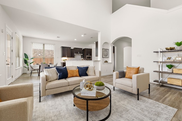 living room featuring a high ceiling and light hardwood / wood-style flooring