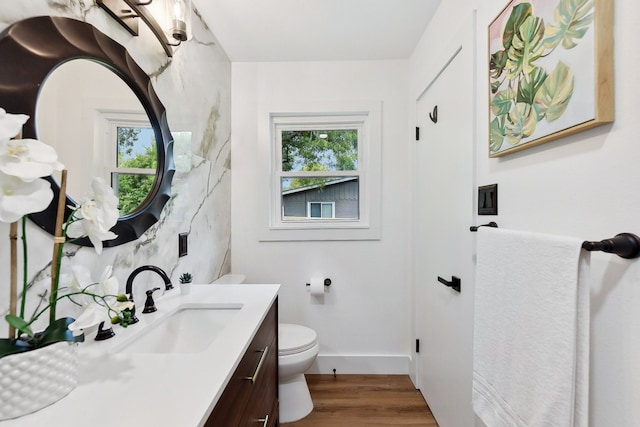 bathroom featuring vanity, toilet, and wood-type flooring