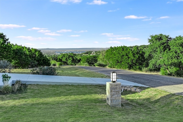 view of property's community with a yard