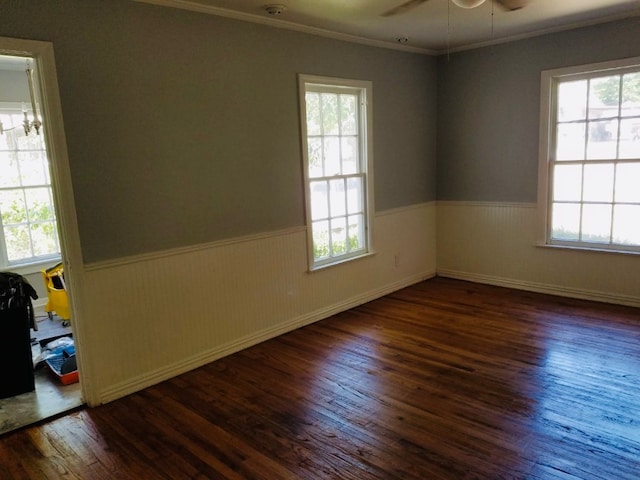 spare room featuring dark wood-type flooring, ceiling fan, and a wealth of natural light