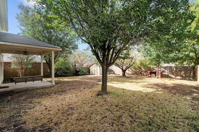 view of yard with a patio area and a storage shed