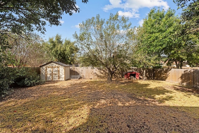 view of yard featuring a storage unit