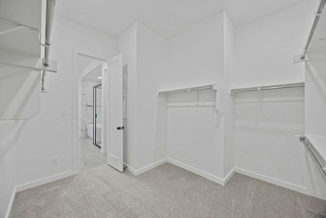 spacious closet with light carpet