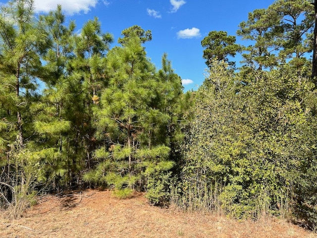 Listing photo 2 for LOT986 Kailua L Ln, Bastrop TX 78602