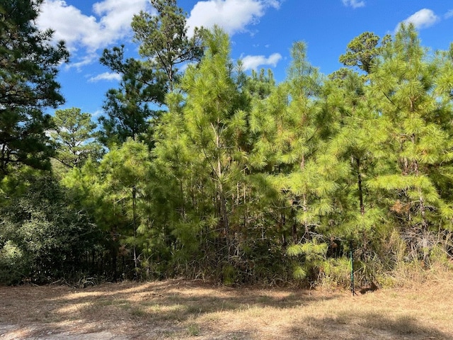 Listing photo 3 for LOT986 Kailua L Ln, Bastrop TX 78602