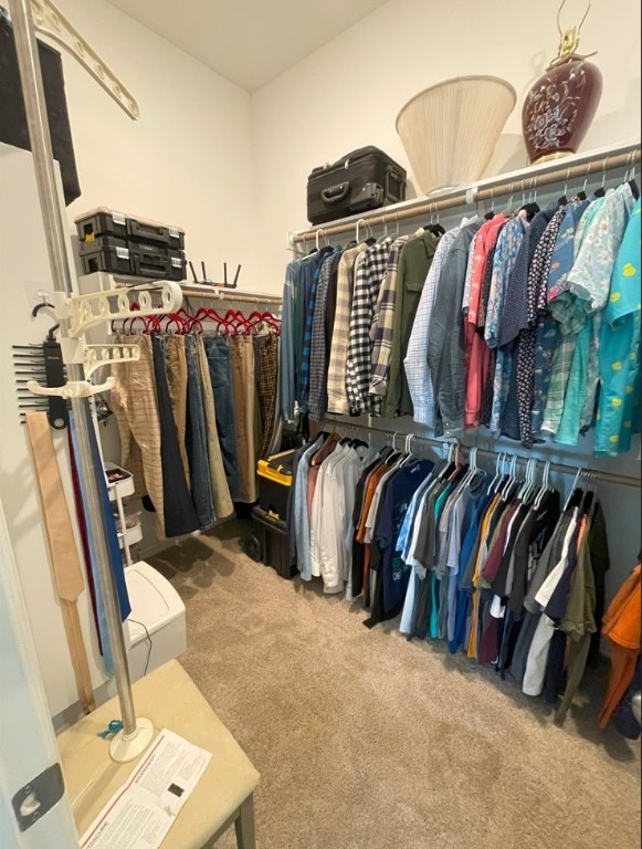 spacious closet with carpet flooring