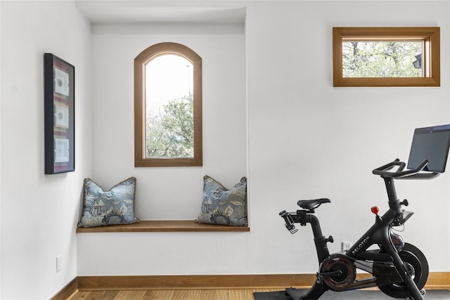 workout area with hardwood / wood-style floors and a wealth of natural light