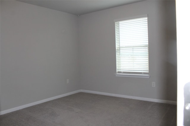 unfurnished room with carpet and a wealth of natural light