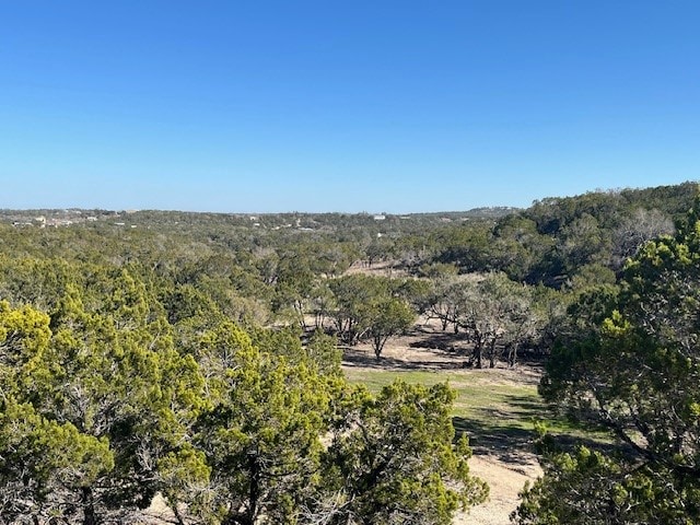 0 Old Red Ranch Rd, Dripping Springs TX, 78620 land for sale