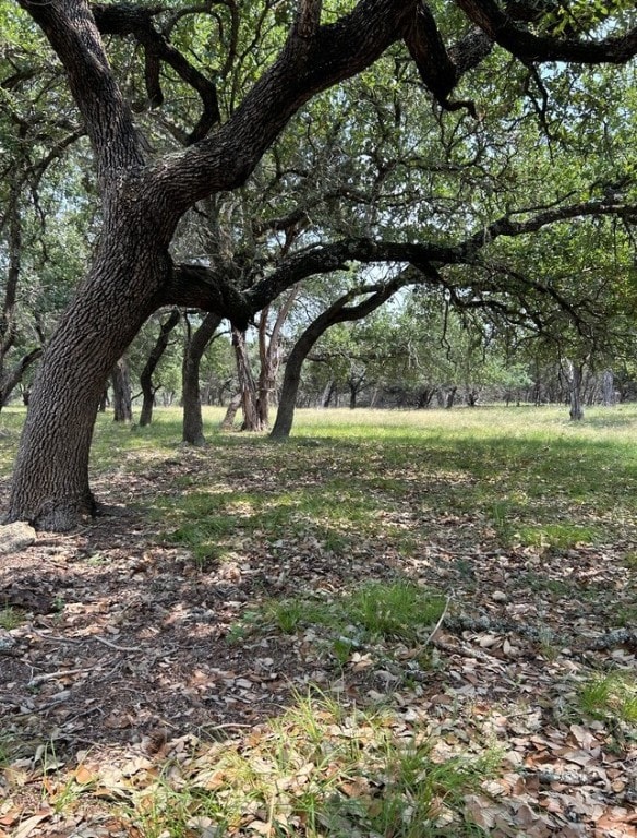 Listing photo 3 for 0 Old Red Ranch Rd, Dripping Springs TX 78620