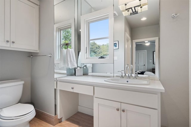 bathroom featuring toilet, wood finished floors, and vanity