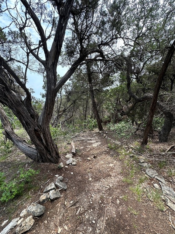 view of local wilderness