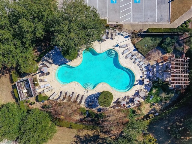 view of pool featuring a patio area