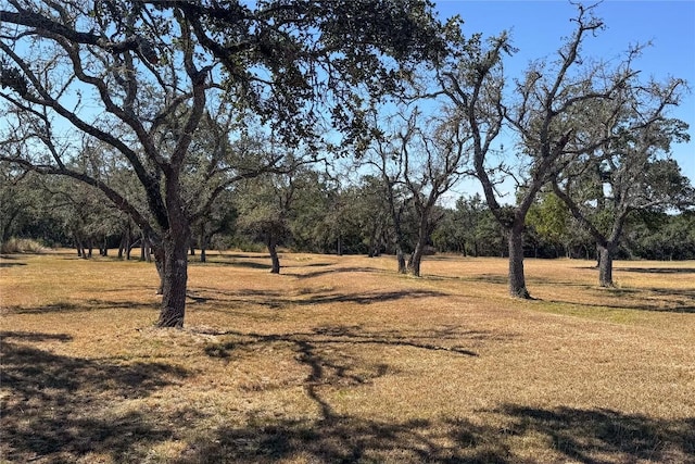 100 Burnett Ranch Rd, Wimberley, TX 78676 - photo 29