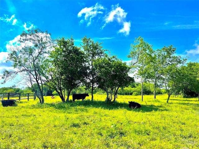 Listing photo 3 for 430 Broadhead Trl, Luling TX 78648