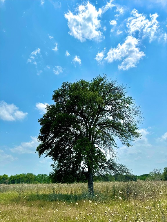 Listing photo 3 for TBDTRACT3 Tenney Creek Rd, Luling TX 78648