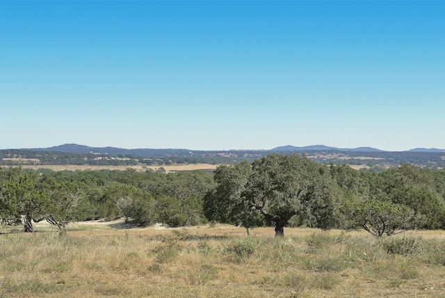 732 Lindeman Ln, Blanco TX, 78606 land for sale