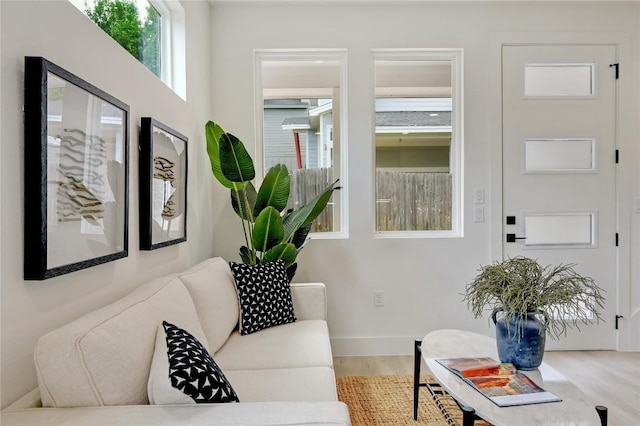 living room featuring hardwood / wood-style flooring