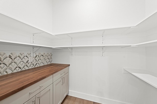 walk in closet with hardwood / wood-style floors