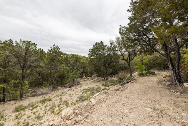 view of local wilderness