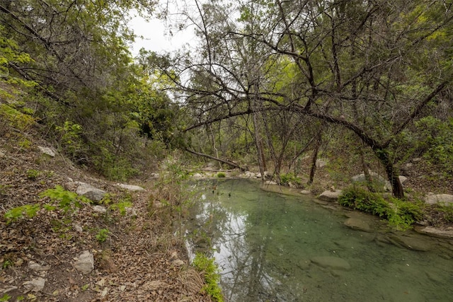 view of nature