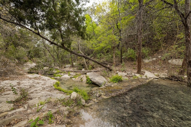 view of local wilderness