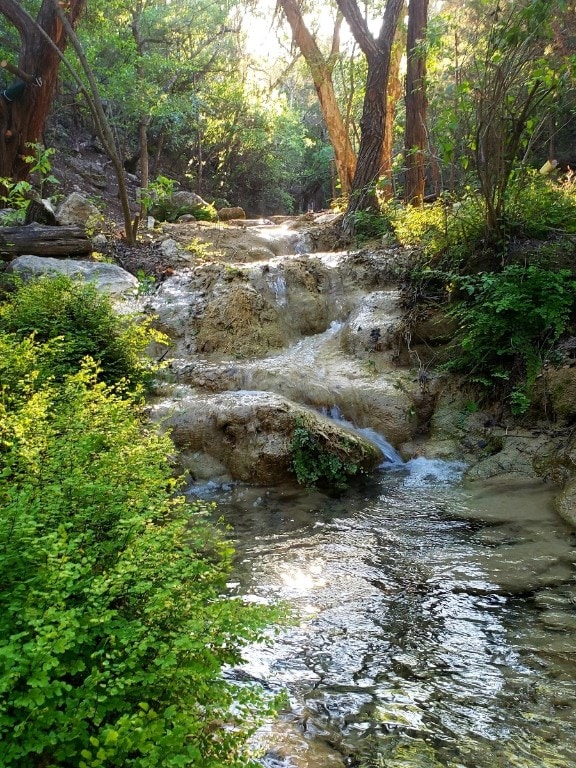 view of nature