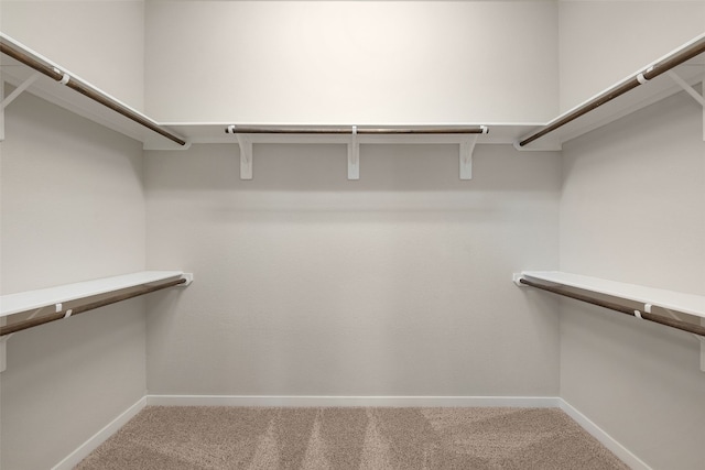 walk in closet featuring carpet flooring