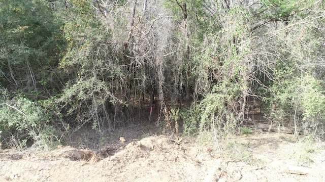 view of local wilderness