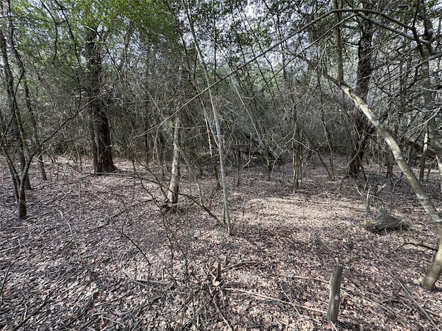 view of local wilderness