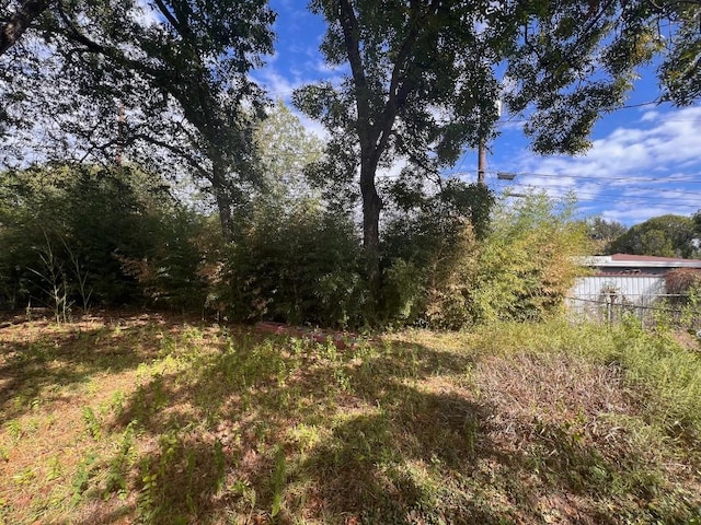 2006 Wheless Ln, Austin, TX 78723 - view of yard
