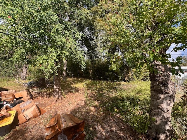 2006 Wheless Ln, Austin, TX 78723 - view of nature