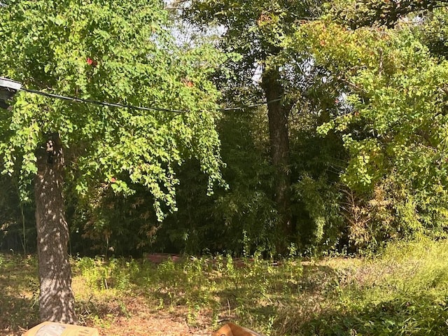 2006 Wheless Ln, Austin, TX 78723 - view of undeveloped land