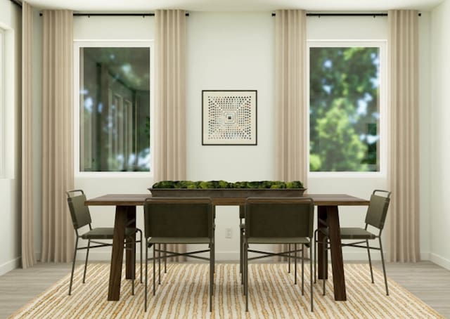 dining room featuring a wealth of natural light and light hardwood / wood-style flooring