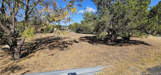15100 Falcon Dr, Austin, TX 78734