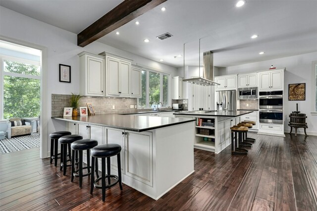 kitchen featuring stainless steel appliances, dark hardwood / wood-style flooring, and plenty of natural light