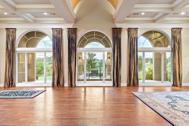 entrance foyer with hardwood / wood-style floors and a healthy amount of sunlight