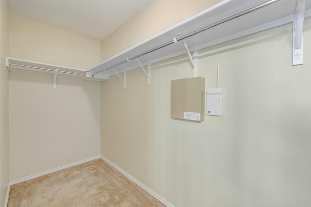 walk in closet with light colored carpet