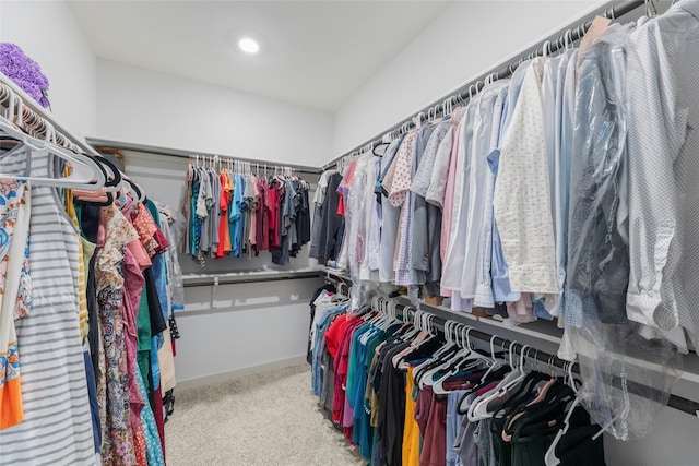 walk in closet featuring carpet flooring