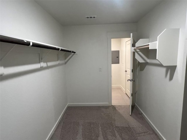 spacious closet featuring electric panel and light colored carpet