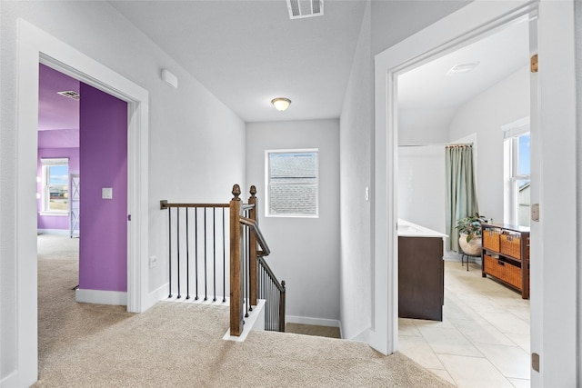 stairway featuring carpet floors