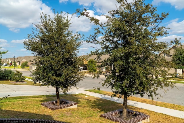 view of home's community featuring a yard