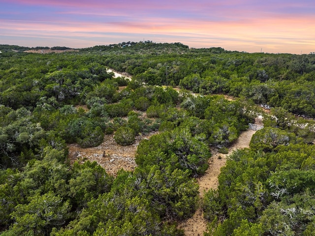 Listing photo 3 for 1250 Myers Creek Rd, Dripping Springs TX 78620