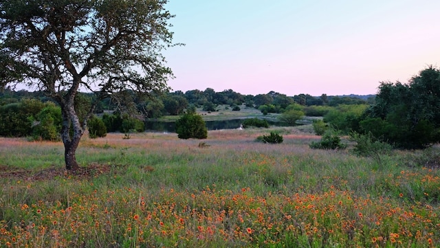 7701 Becasseau Dr, Austin, TX 78738 - view of nature