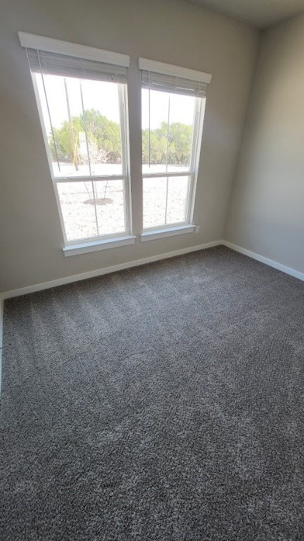 unfurnished room with carpet