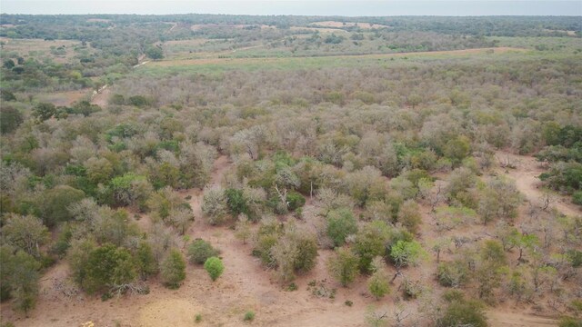 TBDTRACT2 Fm 3158, Dale, TX 78616 - photo 5