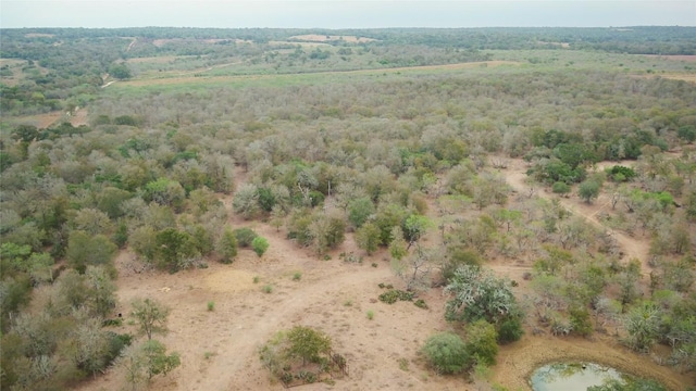 TBDTRACT2 Fm 3158, Dale, TX 78616 - photo 6
