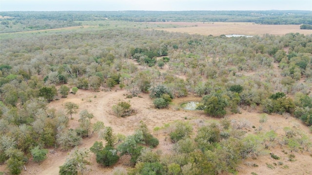 TBDTRACT2 Fm 3158, Dale, TX 78616 - photo 8