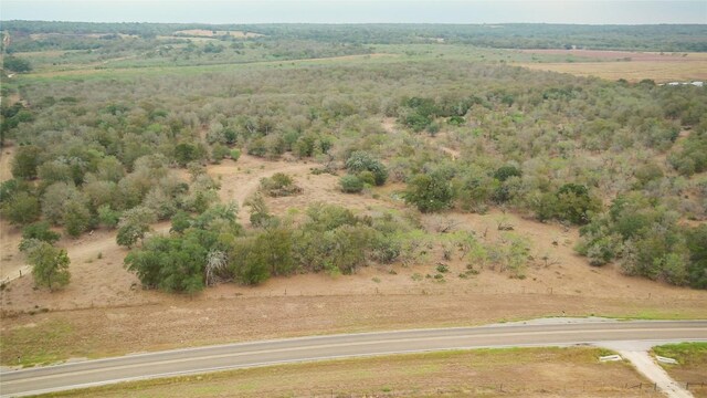 TBDTRACT2 Fm 3158, Dale, TX 78616 - photo 9